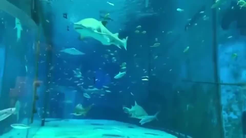 实况足球